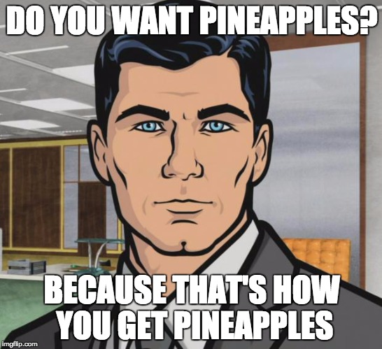 Archer Meme | DO YOU WANT PINEAPPLES? BECAUSE THAT'S HOW YOU GET PINEAPPLES | image tagged in memes,archer,AdviceAnimals | made w/ Imgflip meme maker