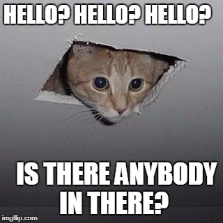 Ceiling Cat | HELLO? HELLO? HELLO? IS THERE ANYBODY IN THERE? | image tagged in memes,ceiling cat | made w/ Imgflip meme maker
