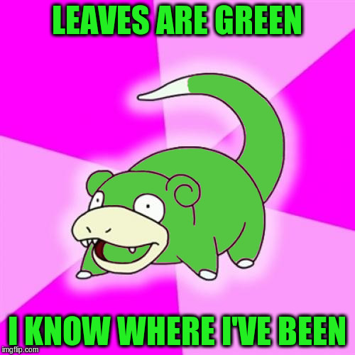 LEAVES ARE GREEN I KNOW WHERE I'VE BEEN | made w/ Imgflip meme maker