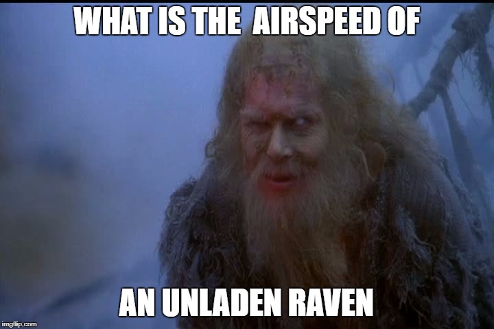 WHAT IS THE  AIRSPEED OF; AN UNLADEN RAVEN | made w/ Imgflip meme maker