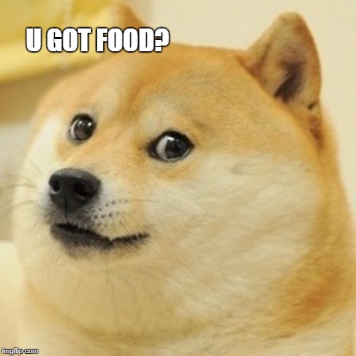 Doge Meme | U GOT FOOD? | image tagged in memes,doge | made w/ Imgflip meme maker