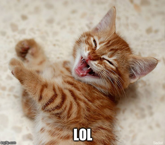 LOL | made w/ Imgflip meme maker