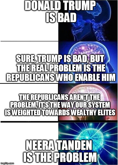 Expanding Brain Meme | DONALD TRUMP IS BAD; SURE, TRUMP IS BAD, BUT THE REAL PROBLEM IS THE REPUBLICANS WHO ENABLE HIM; THE REPUBLICANS AREN'T THE PROBLEM, IT'S THE WAY OUR SYSTEM IS WEIGHTED TOWARDS WEALTHY ELITES; NEERA TANDEN IS THE PROBLEM | image tagged in expanding brain | made w/ Imgflip meme maker