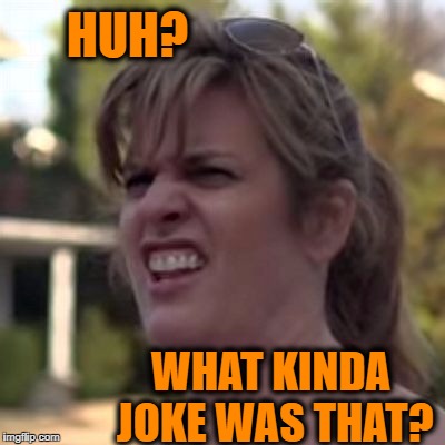 seriously? | HUH? WHAT KINDA JOKE WAS THAT? | image tagged in seriously | made w/ Imgflip meme maker
