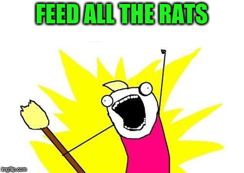 X All The Y Meme | FEED ALL THE RATS | image tagged in memes,x all the y | made w/ Imgflip meme maker