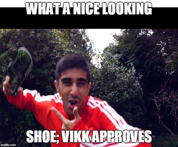 SHOES | WHAT A NICE LOOKING; SHOE; VIKK APPROVES | image tagged in moma got new shoes | made w/ Imgflip meme maker