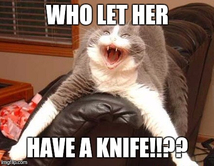 WHO LET HER HAVE A KNIFE!!?? | made w/ Imgflip meme maker