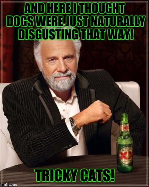 The Most Interesting Man In The World Meme | AND HERE I THOUGHT DOGS WERE JUST NATURALLY DISGUSTING THAT WAY! TRICKY CATS! | image tagged in memes,the most interesting man in the world | made w/ Imgflip meme maker