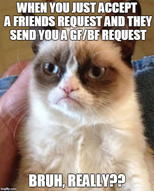 Grumpy Cat Meme | WHEN YOU JUST ACCEPT A FRIENDS REQUEST AND THEY SEND YOU A GF/BF REQUEST; BRUH, REALLY?? | image tagged in memes,grumpy cat | made w/ Imgflip meme maker