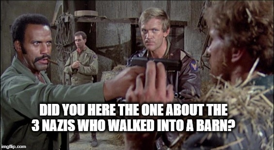 DID YOU HERE THE ONE ABOUT THE 3 NAZIS WHO WALKED INTO A BARN? | image tagged in nazi jokes | made w/ Imgflip meme maker
