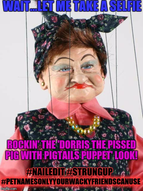 WAIT...LET ME TAKE A SELFIE; ROCKIN' THE 'DORRIS THE PISSED PIG WITH PIGTAILS PUPPET' LOOK! #NAILEDIT #STRUNGUP; #PETNAMESONLYYOURWACKYFRIENDSCANUSE | image tagged in puppet gran | made w/ Imgflip meme maker