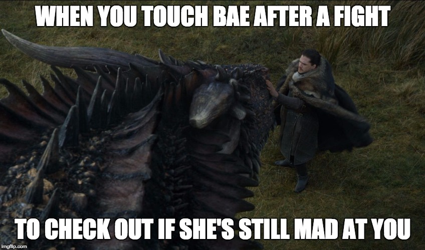 Risky Business  | WHEN YOU TOUCH BAE AFTER A FIGHT; TO CHECK OUT IF SHE'S STILL MAD AT YOU | image tagged in game of thrones,bae,funny,dangerous,livinglifeontheedge,funny memes | made w/ Imgflip meme maker