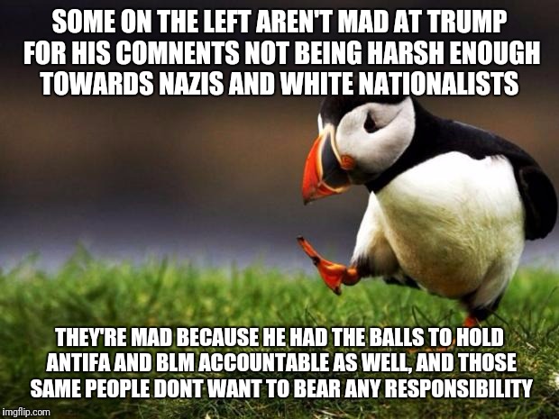 Unpopular Opinion Puffin Meme | SOME ON THE LEFT AREN'T MAD AT TRUMP FOR HIS COMNENTS NOT BEING HARSH ENOUGH TOWARDS NAZIS AND WHITE NATIONALISTS; THEY'RE MAD BECAUSE HE HAD THE BALLS TO HOLD ANTIFA AND BLM ACCOUNTABLE AS WELL, AND THOSE SAME PEOPLE DONT WANT TO BEAR ANY RESPONSIBILITY | image tagged in memes,unpopular opinion puffin | made w/ Imgflip meme maker
