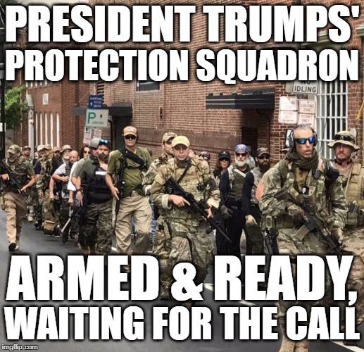 trump's militia | PRESIDENT TRUMPS'; PROTECTION SQUADRON; ARMED & READY, WAITING FOR THE CALL | image tagged in trump's militia | made w/ Imgflip meme maker