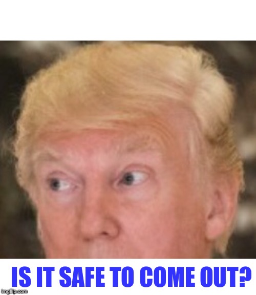  IS IT SAFE TO COME OUT? | image tagged in memes,donald trump,charlottesville | made w/ Imgflip meme maker