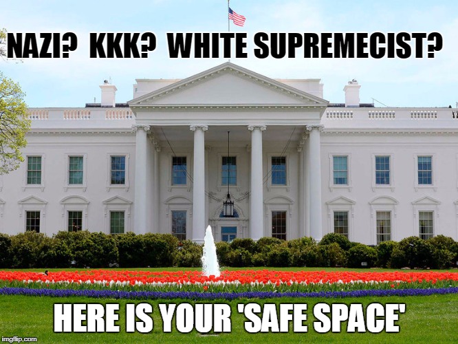 White house | NAZI?  KKK?  WHITE SUPREMECIST? HERE IS YOUR 'SAFE SPACE' | image tagged in snowflakes,safe space,nazis,kkk,white house,white supremacists | made w/ Imgflip meme maker