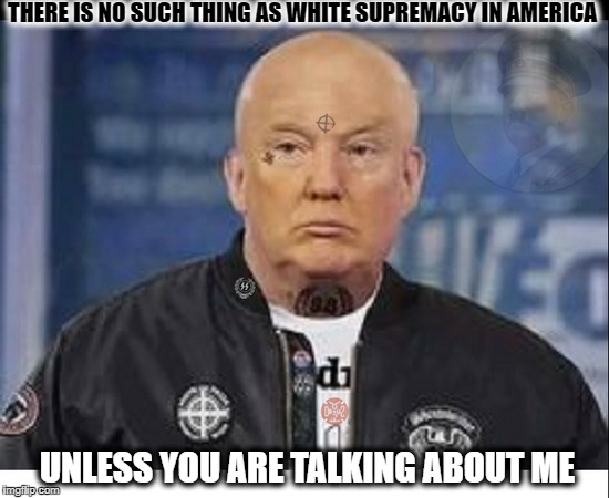Trump Press conference  | THERE IS NO SUCH THING AS WHITE SUPREMACY IN AMERICA; UNLESS YOU ARE TALKING ABOUT ME | image tagged in donald trump approves,white supremacy,memes,funny,united states of america | made w/ Imgflip meme maker