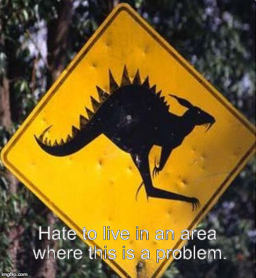  Hate to live in an area where this is a problem. | image tagged in kangasaurus | made w/ Imgflip meme maker
