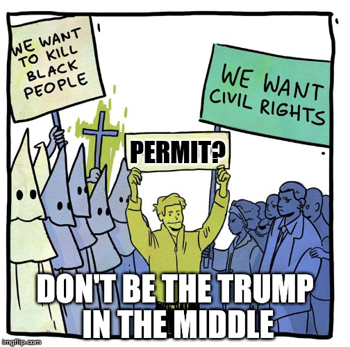  PERMIT? DON'T BE THE TRUMP IN THE MIDDLE | image tagged in middle person,donald trump,trump,blm,kkk,nazi | made w/ Imgflip meme maker