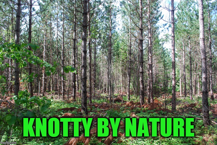 KNOTTY BY NATURE | made w/ Imgflip meme maker