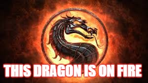 Mortal Kombat | THIS DRAGON IS ON FIRE | image tagged in mortal kombat | made w/ Imgflip meme maker