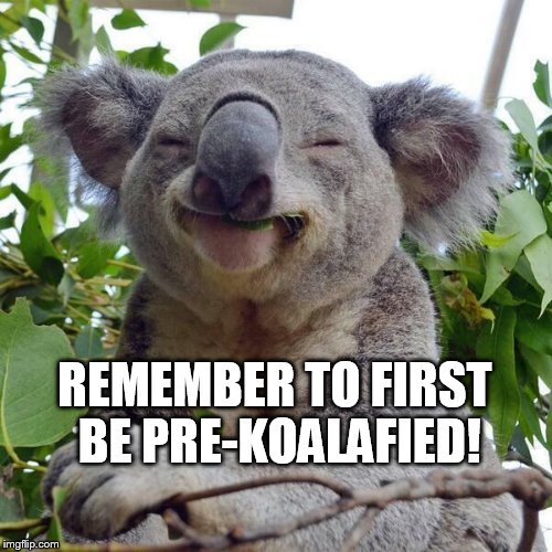 Smiling Koala | REMEMBER TO FIRST BE PRE-KOALAFIED! | image tagged in smiling koala | made w/ Imgflip meme maker