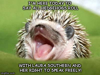 Motivational hedgehog | I'M HERE TODAY TO SAY ALL HEDGEHOGS ROLL; WITH LAURA SOUTHERN AND HER RIGHT TO SPEAK FREELY! | image tagged in motivational hedgehog | made w/ Imgflip meme maker