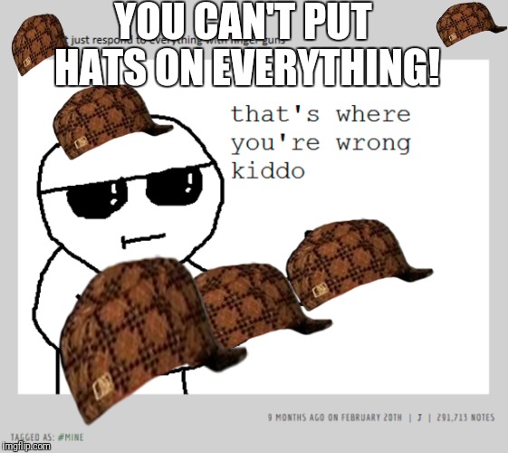 Hats off to you sir | YOU CAN'T PUT HATS ON EVERYTHING! | image tagged in memes,that's where you're wrong kiddo | made w/ Imgflip meme maker