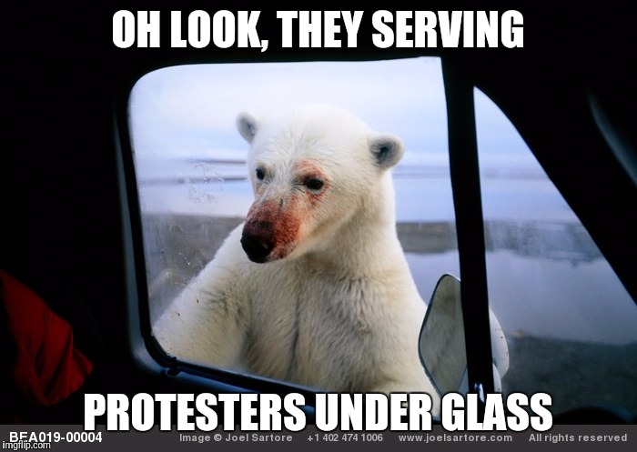 OH LOOK, THEY SERVING PROTESTERS UNDER GLASS | made w/ Imgflip meme maker