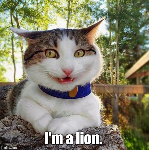 Smiling Cat | I'm a lion. | image tagged in smiling cat | made w/ Imgflip meme maker