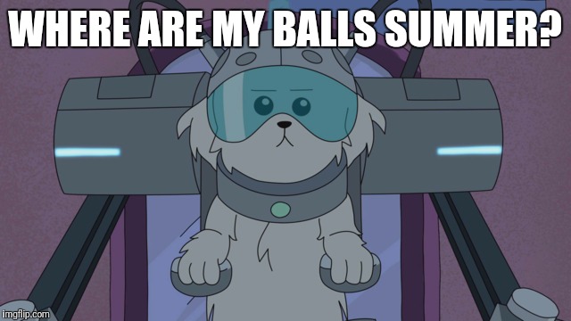 Rick and Morty | WHERE ARE MY BALLS SUMMER? | image tagged in rick and morty | made w/ Imgflip meme maker