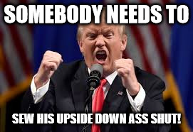 Stitch Which? | SOMEBODY NEEDS TO; SEW HIS UPSIDE DOWN ASS SHUT! | image tagged in donaldrump | made w/ Imgflip meme maker