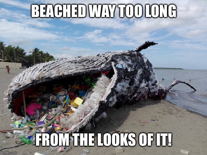 BEACHED WAY TOO LONG FROM THE LOOKS OF IT! | made w/ Imgflip meme maker