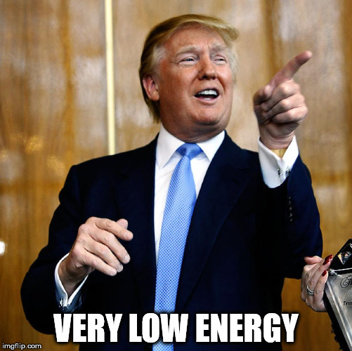 Donald Trump | VERY LOW ENERGY | image tagged in donald trump | made w/ Imgflip meme maker