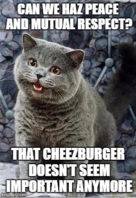 I can has cheezburger cat | CAN WE HAZ PEACE AND MUTUAL RESPECT? THAT CHEEZBURGER DOESN'T SEEM IMPORTANT ANYMORE | image tagged in i can has cheezburger cat | made w/ Imgflip meme maker