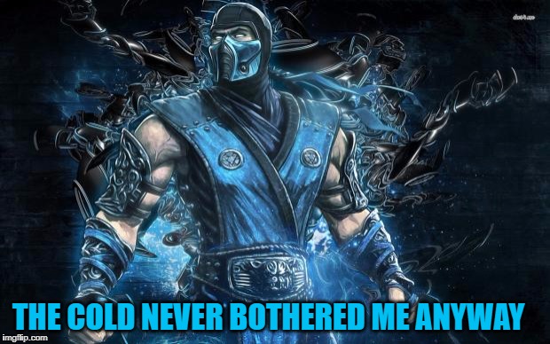 Mortal Kombat Sub-Zero | THE COLD NEVER BOTHERED ME ANYWAY | image tagged in mortal kombat sub-zero | made w/ Imgflip meme maker