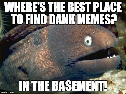 Bad Joke Eel Meme | WHERE'S THE BEST PLACE TO FIND DANK MEMES? IN THE BASEMENT! | image tagged in memes,bad joke eel | made w/ Imgflip meme maker