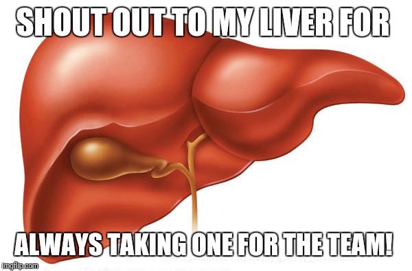 Liver, funny meme | SHOUT OUT TO MY LIVER FOR; ALWAYS TAKING ONE FOR THE TEAM! | image tagged in liver funny meme | made w/ Imgflip meme maker
