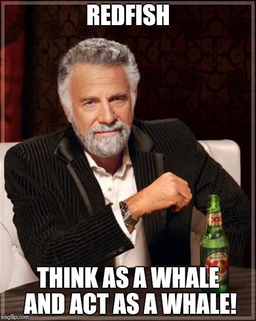 The Most Interesting Man In The World Meme | REDFISH; THINK AS A WHALE AND ACT AS A WHALE! | image tagged in memes,the most interesting man in the world | made w/ Imgflip meme maker