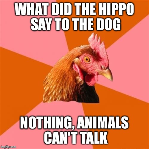 Anti Joke Chicken Meme | WHAT DID THE HIPPO SAY TO THE DOG; NOTHING, ANIMALS CAN'T TALK | image tagged in memes,anti joke chicken | made w/ Imgflip meme maker