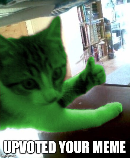 thumbs up RayCat | UPVOTED YOUR MEME | image tagged in thumbs up raycat | made w/ Imgflip meme maker