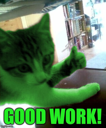 thumbs up RayCat | GOOD WORK! | image tagged in thumbs up raycat | made w/ Imgflip meme maker