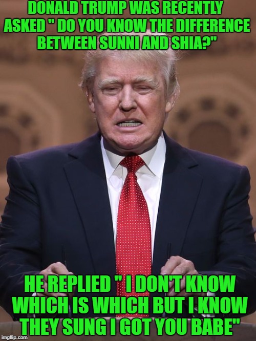 Donald Trump | DONALD TRUMP WAS RECENTLY ASKED " DO YOU KNOW THE DIFFERENCE BETWEEN SUNNI AND SHIA?"; HE REPLIED " I DON'T KNOW WHICH IS WHICH BUT I KNOW THEY SUNG I GOT YOU BABE" | image tagged in donald trump | made w/ Imgflip meme maker