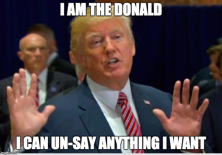 i am | I AM THE DONALD; I CAN UN-SAY ANYTHING I WANT | image tagged in say that again i dare you,say what,post-truth,not funny,funny not funny | made w/ Imgflip meme maker