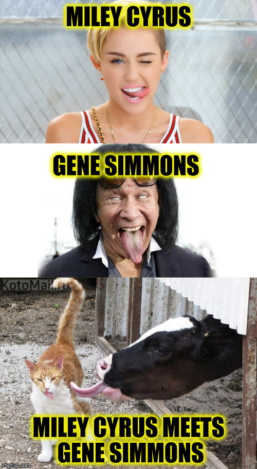 Miley Cyrus vs Gene Simmons: Tongue Wars | MILEY CYRUS; GENE SIMMONS; MILEY CYRUS MEETS GENE SIMMONS | image tagged in miley cyrus tongue,gene simmons tongue | made w/ Imgflip meme maker