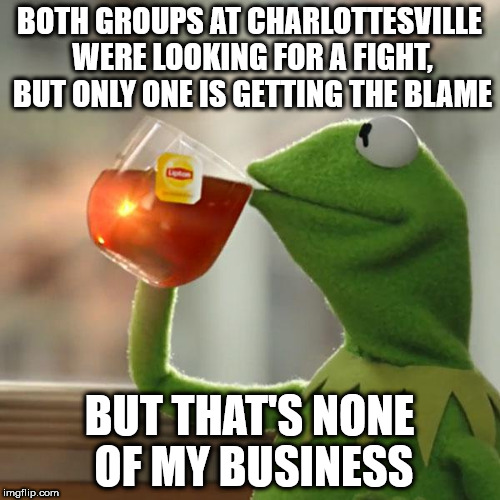 But That's None Of My Business | BOTH GROUPS AT CHARLOTTESVILLE WERE LOOKING FOR A FIGHT, BUT ONLY ONE IS GETTING THE BLAME; BUT THAT'S NONE OF MY BUSINESS | image tagged in memes,but thats none of my business,kermit the frog | made w/ Imgflip meme maker