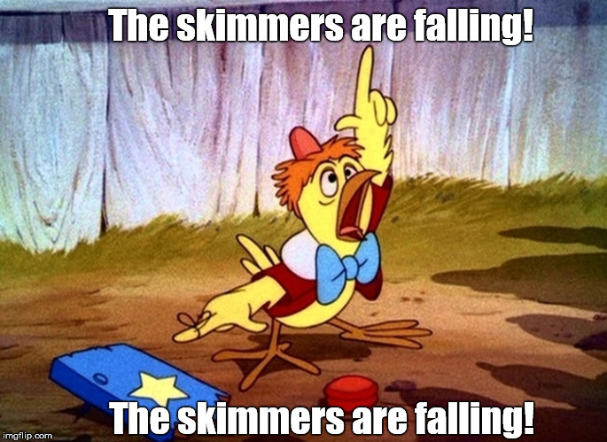 chicken little large | The skimmers are falling! The skimmers are falling! | image tagged in chicken little large | made w/ Imgflip meme maker