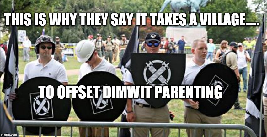 Parenting gone bad | THIS IS WHY THEY SAY IT TAKES A VILLAGE..... TO OFFSET DIMWIT PARENTING | image tagged in dimwits,bad parenting | made w/ Imgflip meme maker