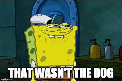 Don't You Squidward | THAT WASN'T THE DOG | image tagged in memes,dont you squidward | made w/ Imgflip meme maker