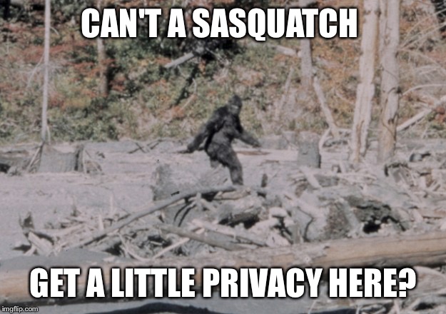 CAN'T A SASQUATCH GET A LITTLE PRIVACY HERE? | made w/ Imgflip meme maker